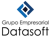 Datasoft Logotype