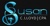 Susan C. Lloyd, CPA Logotype
