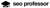 SEO Professor Logotype