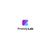 Protolylab Logotype
