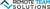 Remote Team Solutions Logotype