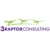 3Raptor Consulting, LLC Logotype