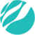 TCIT Logotype