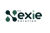 The Nexie Solutions Logotype