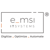 e-MSI Sp. z o.o. Logotype
