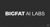 Bigfat AI Labs Logotype