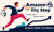 Amazon Big Step Logotype