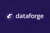 Dataforge Inc. Logotype