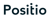 Positio Marketing Online Logotype