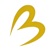 Bless Tech Solutions Pvt. Ltd. Logotype