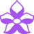 Orkkid Logotype