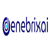 Denebrixai Logotype