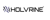 Holvrine International Services Logotype