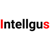 Intellgus - Outsourced and Offshore Accounting Solutions Logotype