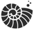 Ammonite Services Limited Logotype