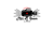Miami Star Room Logotype