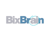 BixBrain solutions Ltd Logotype