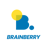 Brainberry Logotype