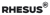 Rhesus Logotype