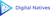 Digital Natives Pro Logotype