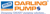 Darling Pumps Logotype
