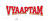 Vyaaptam Digital Marketing Agency — SEO & Google Ads Ahmedabad Logotype