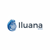 Iluana Logotype