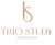 Triostudy Consultants Logotype