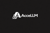 AcceLLM Logotype