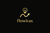 FlowiraX Technologies Pvt Ltd Logotype