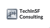 TechInSF Logotype