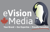 eVision Media Logotype