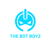 THE BOT BOYZ Logotype
