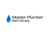 Master Plumber Services Logotype
