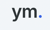 Y.M Strategic Consulting Services LLC Logotype