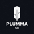 PLUMMA SRL Logotype