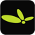 WebBot Designs Logotype