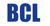 Baer Consulting Logotype
