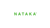 Nataka Inc Logotype
