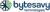 Bytesavy Technologies Logotype
