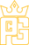 Prince Cyber Tech and Graphics Logotype