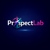 ProspectLab Logotype
