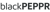 BlackPeppr Ventures Private Limited Logotype