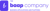 The Baap Company Logotype