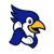 CallBird Logotype