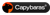 Capybaras Agency Logotype