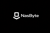 NasByte Logotype