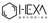 Hexa Logotype