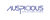 Auspicious Soft Pvt Ltd Logotype