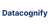 Datacognify Logotype